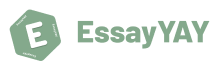 EssayYAY logo